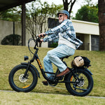 Load image into Gallery viewer, URLIFE E20 Pro 20*4.0 Inch Fat Tire Electric Bike