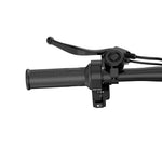 Load image into Gallery viewer, URLIFE F1L 14 Inch Electric Folding Bike