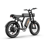 Load image into Gallery viewer, URLIFE T2 20*4.0 Inch Fat Tire Electric Bike