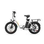 Load image into Gallery viewer, URLIFE E20 20*3.0 Fat Tire Commuting Electric Bike