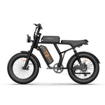 Load image into Gallery viewer, URLIFE T2 20*4.0 Inch Fat Tire Electric Bike
