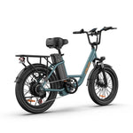 Load image into Gallery viewer, URLIFE E20 20*3.0 Fat Tire Commuting Electric Bike