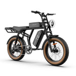 Load image into Gallery viewer, URLIFE T2 20*4.0 Inch Fat Tire Electric Bike