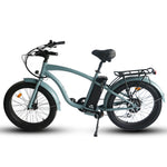 Load image into Gallery viewer, Step Over 24x3 - 52v 750W Beach Cruiser Electric Bike