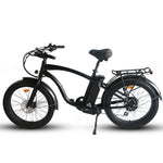 Load image into Gallery viewer, Step Over 24x3 - 52v 750W Beach Cruiser Electric Bike