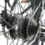 Load image into Gallery viewer, Step Over 24x3 - 52v 750W Beach Cruiser Electric Bike