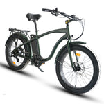Load image into Gallery viewer, Step Over 24x3 - 52v 750W Beach Cruiser Electric Bike