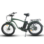 Load image into Gallery viewer, Step Over 24x3 - 52v 750W Beach Cruiser Electric Bike