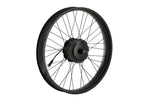 Load image into Gallery viewer, Electric Bike Rear Wheel – Series 209