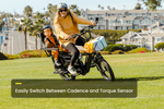 Load image into Gallery viewer, Cargo Electric Bike – Series 072