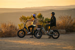 Load image into Gallery viewer, Folding Electric Bike – Series 086