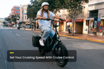 Load image into Gallery viewer, Cargo Electric Bike – Series 123