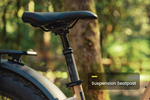 Load image into Gallery viewer, Step-Through Fat Tire Electric Bike – Series 053