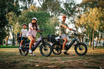 Load image into Gallery viewer, Cargo Electric Bike – Series 123