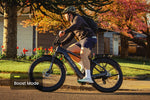 Load image into Gallery viewer, Step-Through Fat Tire Electric Bike – Series 053