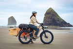 Load image into Gallery viewer, Step-Through Fat Tire Electric Bike – Series 053