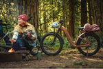 Load image into Gallery viewer, Step-Through Fat Tire Electric Bike – Series 053