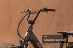 Load image into Gallery viewer, Cargo Electric Bike – Series 072