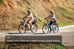 Load image into Gallery viewer, Step-Through City Commuter Electric Bike – Series 066