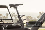 Load image into Gallery viewer, Cargo Electric Bike – Series 072