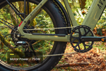 Load image into Gallery viewer, Fat Tire Electric Bike – Series 054