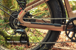 Load image into Gallery viewer, Step-Through Fat Tire Electric Bike – Series 053