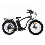 Load image into Gallery viewer, Step Over 24x3 - 52v 750W Beach Cruiser Electric Bike