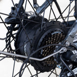Load image into Gallery viewer, Step Over 24x3 - 52v 750W Beach Cruiser Electric Bike