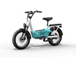 Load image into Gallery viewer, Himiway Cargo Ebike C3
