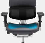 Load image into Gallery viewer, X-Chair X-Tech Ultimate Executive Chair - Floor Model