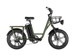 Load image into Gallery viewer, FIIDO T1 Pro - Electric Cargo Bike