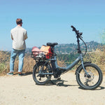 Load image into Gallery viewer, eBike Blix Vika X - Burgundy - In a Box