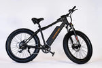 Load image into Gallery viewer, BlackRock Island Warrior Electric Bike 750W – Fat Tire Mountain Ebike