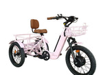 Load image into Gallery viewer, BREEZY Electric Trike 3 Wheel eBike 20" X 4" GTX-48v 500 w Fat Tire Electric Tricycle