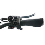 Load image into Gallery viewer, Coastal Cruiser 52v 20 Thru 750W Step Thru Ebike 20x4 Fat Tire Mini Electric Beach Cruiser
