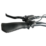 Load image into Gallery viewer, Coastal Cruiser 52v 20 Thru 750W Step Thru Ebike 20x4 Fat Tire Mini Electric Beach Cruiser