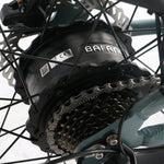 Load image into Gallery viewer, Coastal Cruiser 52v 24 Over 750W Step Over Ebike 24x3 Fat Tire Fat Tire Cruiser