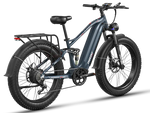 Load image into Gallery viewer, eBike Freesky Eurostar Ultra M-410