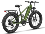Load image into Gallery viewer, eBike Freesky Eurostar Ultra M-410