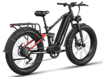 Load image into Gallery viewer, eBike Freesky Eurostar Ultra M-410