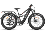 Load image into Gallery viewer, eBike Freesky Swift Horse Pro X-6E