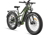 Load image into Gallery viewer, eBike Freesky Swift Horse Pro X-6E