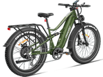 Load image into Gallery viewer, eBike Freesky Swift Horse Pro X-6E