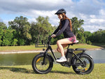 Load image into Gallery viewer, FREEGO Electric Cargo eBike FB-20X Step-thru-Step Thru 750 w Electric Communter eBike