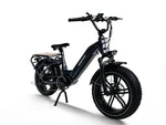 Load image into Gallery viewer, HIMIWAY Big Dog 750 w Step Thru Ebike 20x4 Fat Electric Cargo eBike