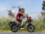 Load image into Gallery viewer, HIMIWAY Big Dog 750 w Step Thru Ebike 20x4 Fat Electric Cargo eBike