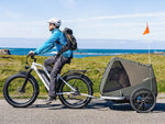 Load image into Gallery viewer, HIMIWAY Cruiser ST D3 750 w Step Thru Ebike 26x4 Fat Electric Fat Tire Mountain eBike
