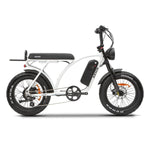Load image into Gallery viewer, KASEN Kabbit 2.0 1000 w Moto Ebike 20x4 Fat Electric e-Moto Style eBike