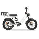 Load image into Gallery viewer, KASEN Malibu 1000 w Step Thru Ebike 20x4 Fat Electric Cargo eBike