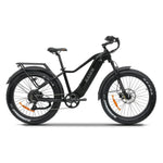 Load image into Gallery viewer, KASEN Ranger 2.0 750 w Step Over Ebike 26x4 Fat Fat Tire Electric Beach Cruiser eBike